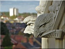 SK9771 : Stone carving - Lincoln Cathedral by Neil Theasby