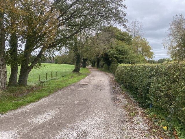 Bridleway to Marton Heath Wood