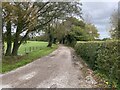 Bridleway to Marton Heath Wood