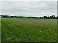 Football pitches, Bowling Park