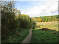 Footpath, Silverhill Wood Country Park