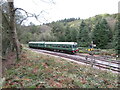 Dean Forest Railway near Middle Forge