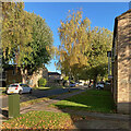 Lichfield Road: autumn sunlight