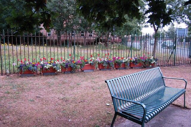 Flower display for Leighton Buzzard in Bloom