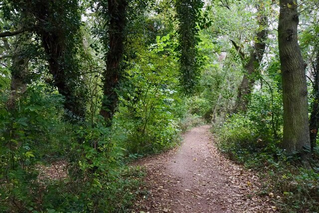 Wooded path near Castle Mill