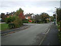 Looking along Silvermere Park