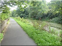 ST3089 : Cycle route by Monmouthshire and Brecon Canal near Barrack Hill by David Smith