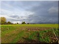 View from Ploughboy Lane