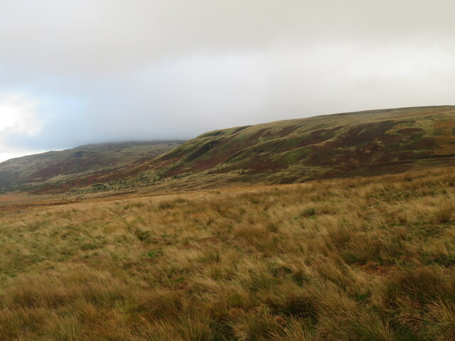 Moorland above Forest Head