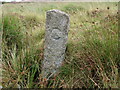 SX1474 : Old Boundary Marker north of the A30 in Blisland by P G Moore