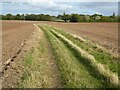 SO7949 : Footpath crossing an arable field by Philip Halling