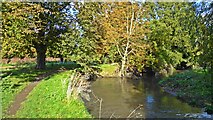 TQ1782 : River Brent in Pitshanger Park by Mark Percy