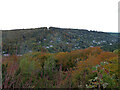 View from Symonds Yat Rock