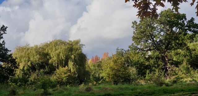 View across Oakwood Park, London N14
