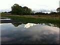 Puddles and cloud reflections, Wyken Croft