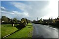 Common Lane in Warthill