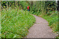 Cullompton : Footpath