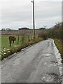 NT2292 : Icy farm track, Little Gleniston by Becky Williamson