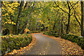 NC8301 : Autumn Lane at Backies, Golspie, Sutherland by Andrew Tryon
