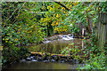 Cullompton : Leat