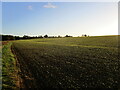 Autumn sown field near Penniment House Farm