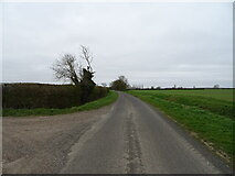 TF1541 : Fen Road towards Little Hale Fen by JThomas