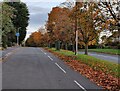 Rugby Road in Sketchley, Hinckley