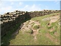 NY6766 : Hadrian's Wall on Walltown Crags by Adrian Taylor