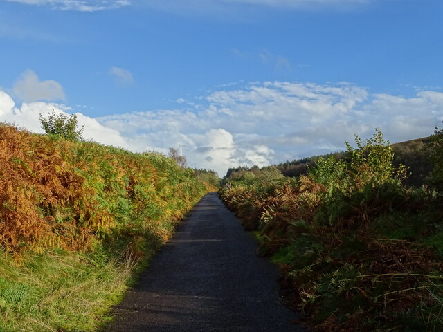 Road along Banagher Glen © Matthew Chadwick :: Geograph Ireland