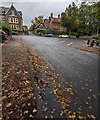 Fallen leaves, Archer Road, Penarth