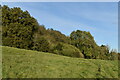 Path climbing across field towards The Hanging