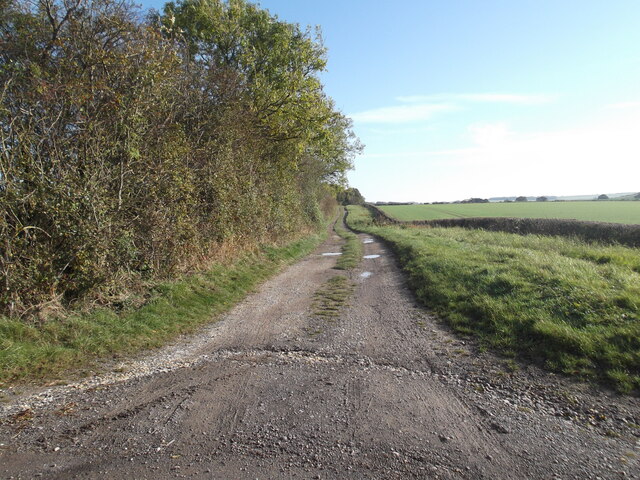 Sheep Rake Lane