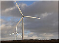 NJ3746 : Hill of Towie Wind Farm by Anne Burgess