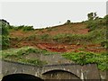 SX9676 : Unconformity in the cliff at Dawlish by Stephen Craven