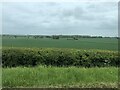 Farmland north of Ombersley