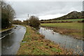 River Crane in spate