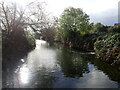 Coppermill Stream at Walthamstow Wetlands