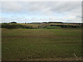 Fields near Tilton on the Hill