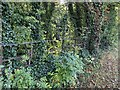 SP3165 : Rusting estate fencing, Old Warwick Road, Royal Leamington Spa by Robin Stott