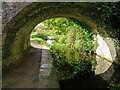 Walls Bridge, Llanymynech