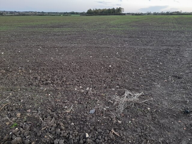 Flat field in Great Waltham