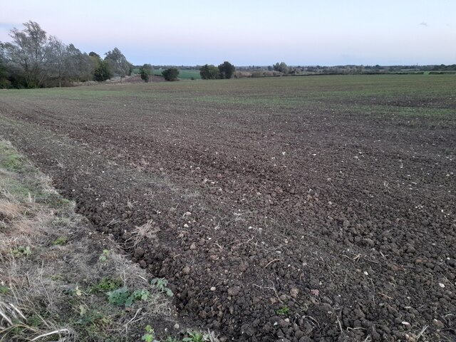 Field in Great Waltham
