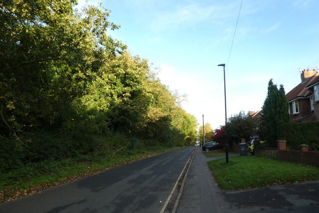 Along Windmill Lane © Ds Pugh Geograph Britain And Ireland