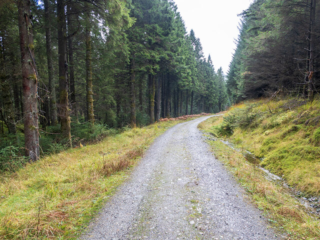 Forestry road above Glen Loin