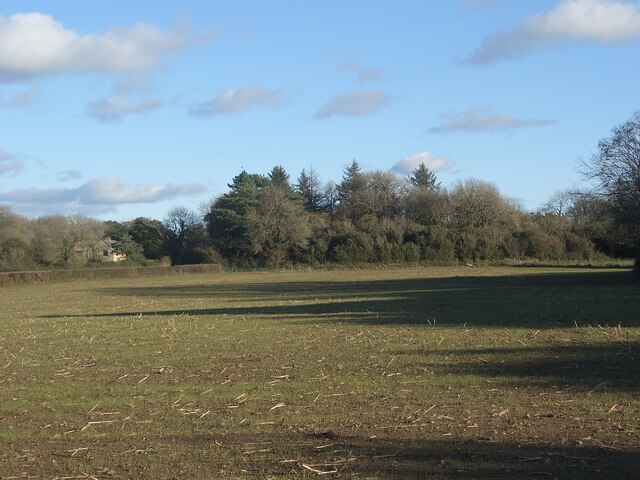 Farmland and woodland to the south east of North Cornelly