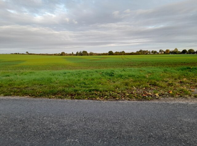 Field by Long Road, Comberton