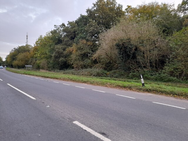 St Neots Road by Combe Plantation