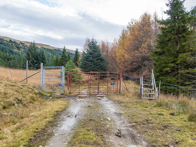Edge of commercial forest in Gleann Auchreoch