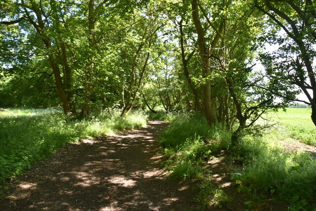 Icknield Way Trail © N Chadwick :: Geograph Britain And Ireland