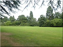 ST2885 : Trees and bushes at Tredegar House Country Park by David Smith